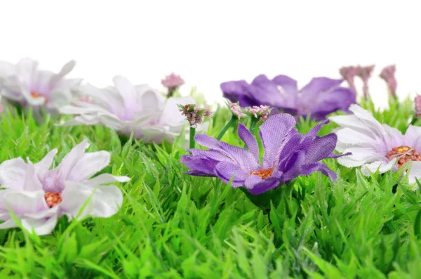 Flower meadow 04 — Stock Photo, Image