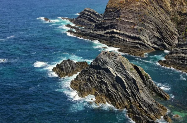Cabo Sardao costa 02 — Fotografia de Stock