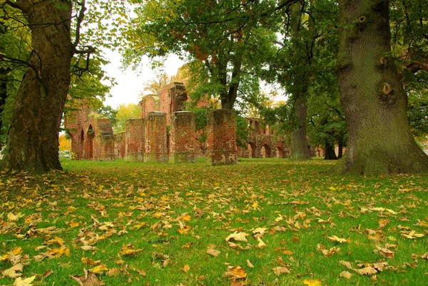 Abadia de Greifswald 10 — Fotografia de Stock