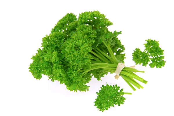 Parsley 24 — Stock Photo, Image