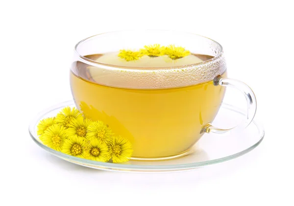 Té Coltsfoot 05 —  Fotos de Stock