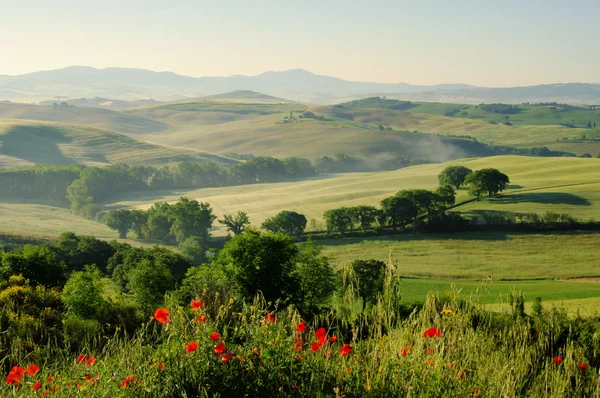 Tuscany hills 19 — Stock Photo, Image