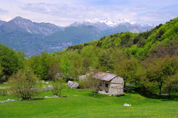 Monte Baldo — Zdjęcie stockowe