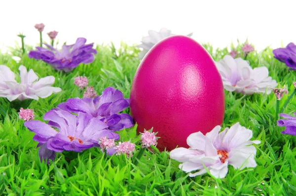 Πασχαλινά αυγά σε λιβάδι με λουλούδια — Φωτογραφία Αρχείου