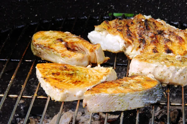 Bistecca alla griglia di pesce — Foto Stock