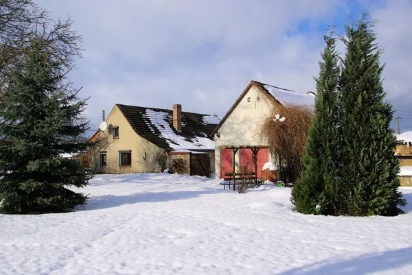 Garten im Winter — Stockfoto