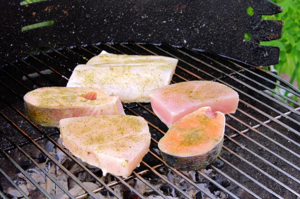 Bife grelhado de peixe — Fotografia de Stock