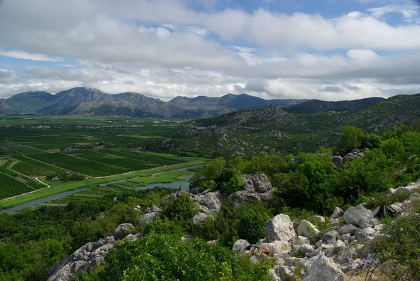 Neretva Delta — Stock Photo, Image