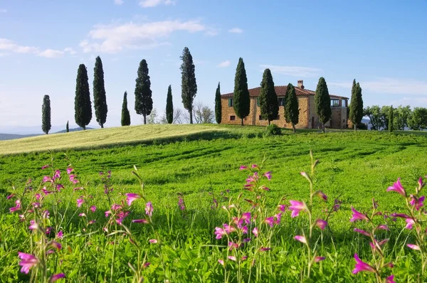 Dom w Toskanii i kwiaty — Zdjęcie stockowe