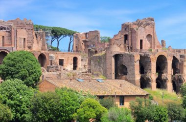 Roma terme di massenzio