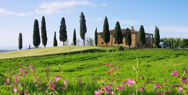 Dom w Toskanii i kwiaty — Zdjęcie stockowe