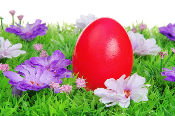Huevos de Pascua en el prado de flores —  Fotos de Stock