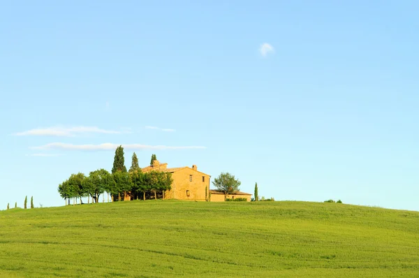 Podere vista terreno agricolo — Foto Stock