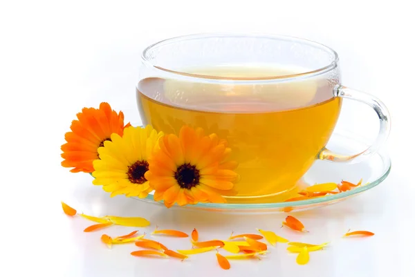 Tea marigold — Stock Photo, Image