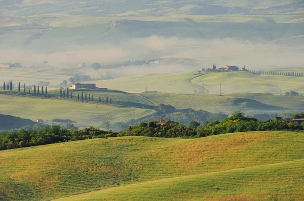 Heuvels van Toscane — Stockfoto