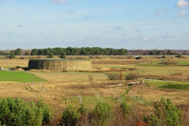 raddusch Slav fort