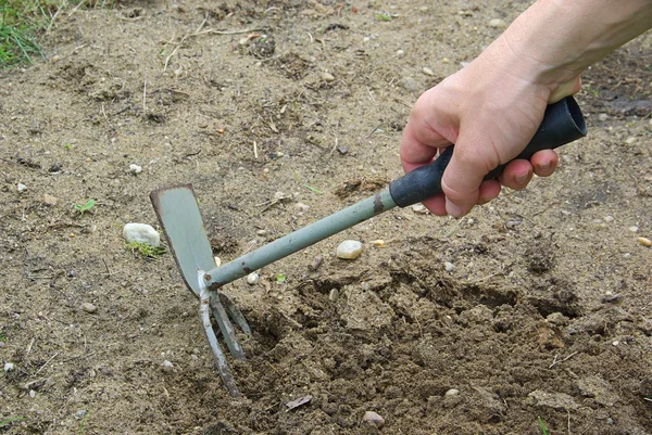 Gartenarbeit — Stockfoto