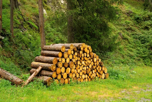 Stapel hout — Stockfoto