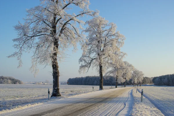 Hoarfrost road — Stock Photo, Image