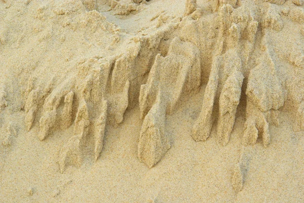 Dune detay — Stok fotoğraf