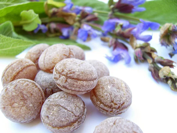 Salbeibonbons — Stockfoto