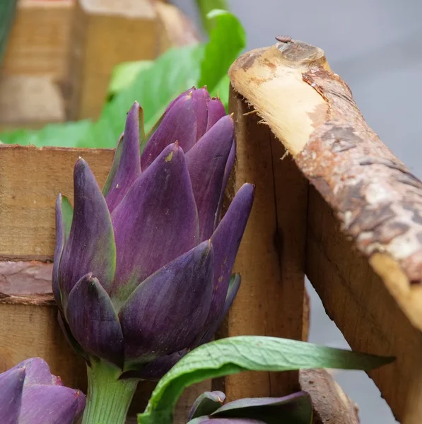 Artichoke — Stock Photo, Image