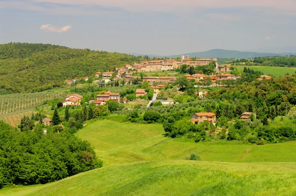 Trequanda — Stok fotoğraf