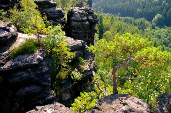 Bielatal - Valle di Biela 11 — Foto Stock