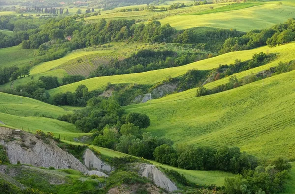 Crete senesi — Zdjęcie stockowe