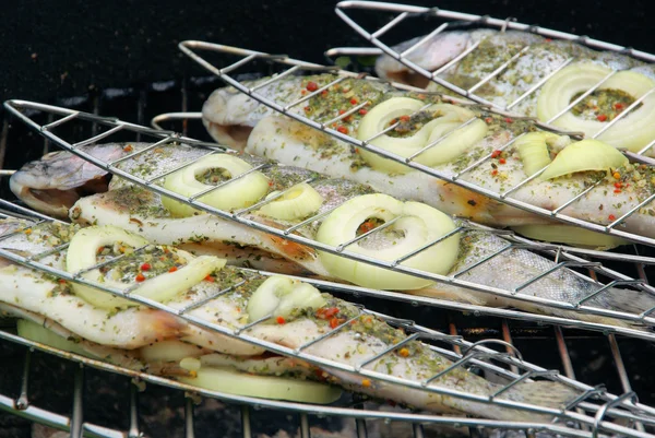 Grillen Forelle - grilling trout 01 — Stock Photo, Image
