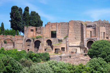 Roma terme di massenzio 03