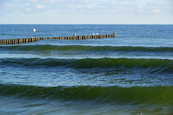 Baltische Zee strand 20 — Stockfoto