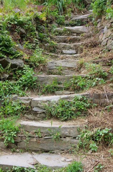 天然石材楼梯 — 图库照片
