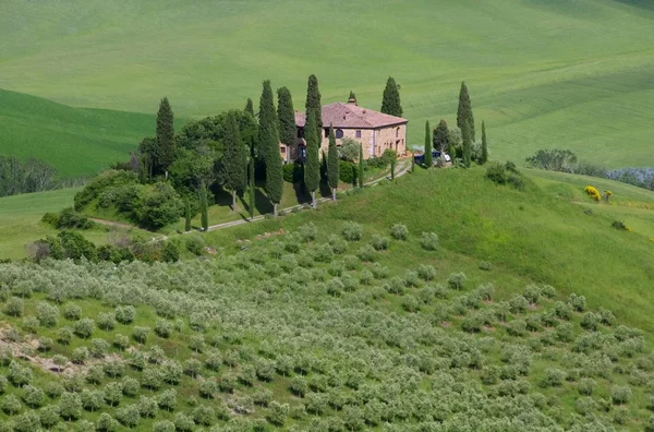 Tuscany house and cypress trees — Stock Photo, Image
