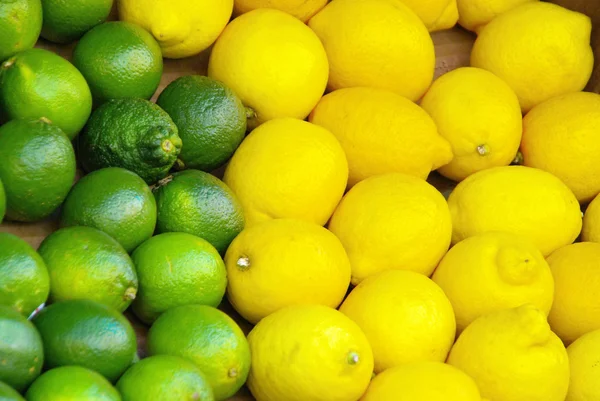 Lime citrous — Stock Photo, Image