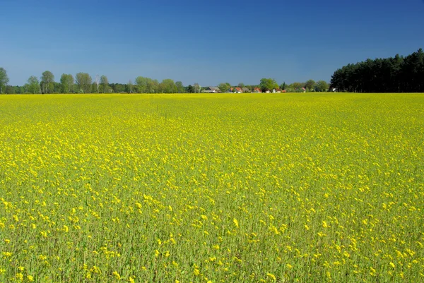 Campo di stupro e villaggio — Foto Stock