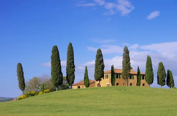 Tuscany huis cipressen op het veld — Stockfoto