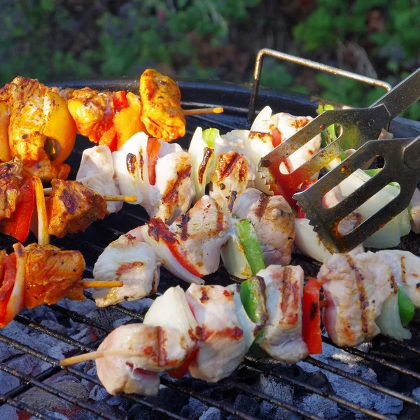 Barbecue shashlik — Stock Photo, Image