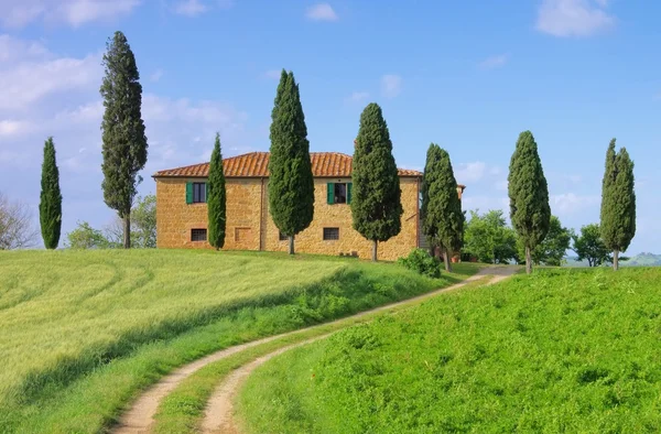 Tuscany house and Cypress trees — Stock Photo, Image