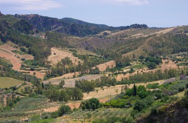 Aspromonte Milli Parkı
