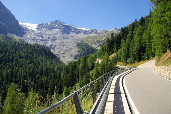 Stelvio pass weg — Stockfoto