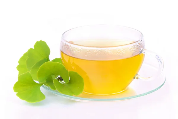 Ginkgo de té — Foto de Stock