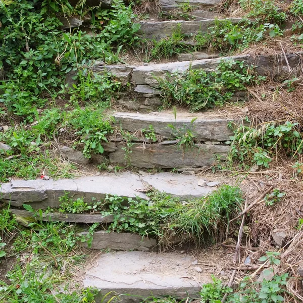 Natursteintreppe — Stockfoto