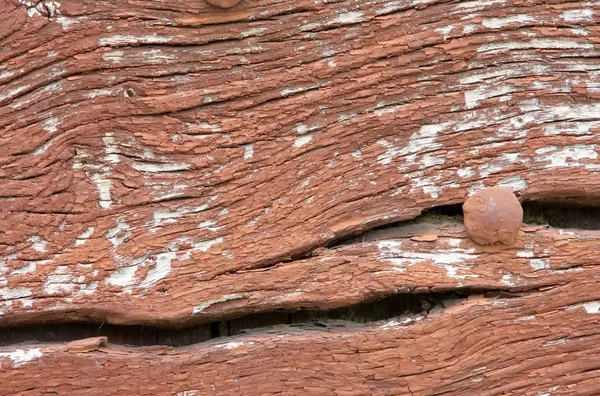 Close-up plank — Stockfoto