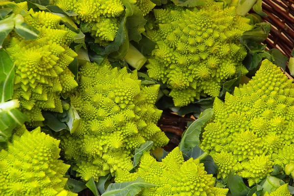 Cauliflower — Stock Photo, Image