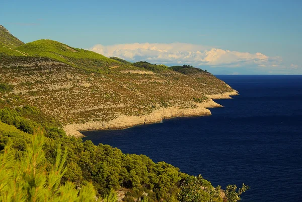 Mljet wybrzeża — Zdjęcie stockowe