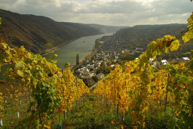 Oberwesel