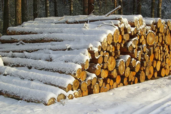 Stapel av trä på vintern — Stockfoto