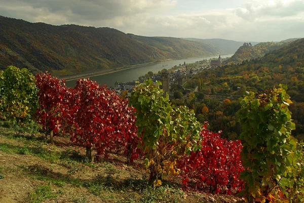 Oberwesel — Stok fotoğraf