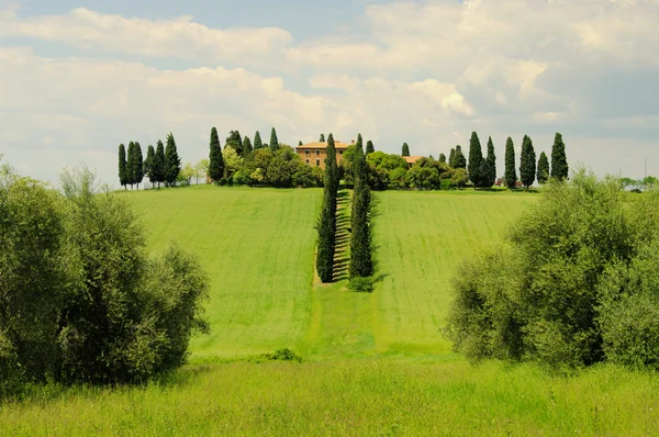 Podere Salicotto: Agriturismo in Toscana — Foto Stock